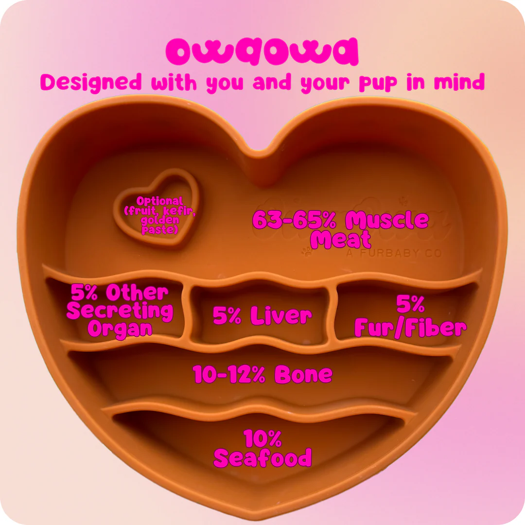 Coraźon ‘Barro’ Silicone Dog Cat Slow bowl Feeder - Image 3